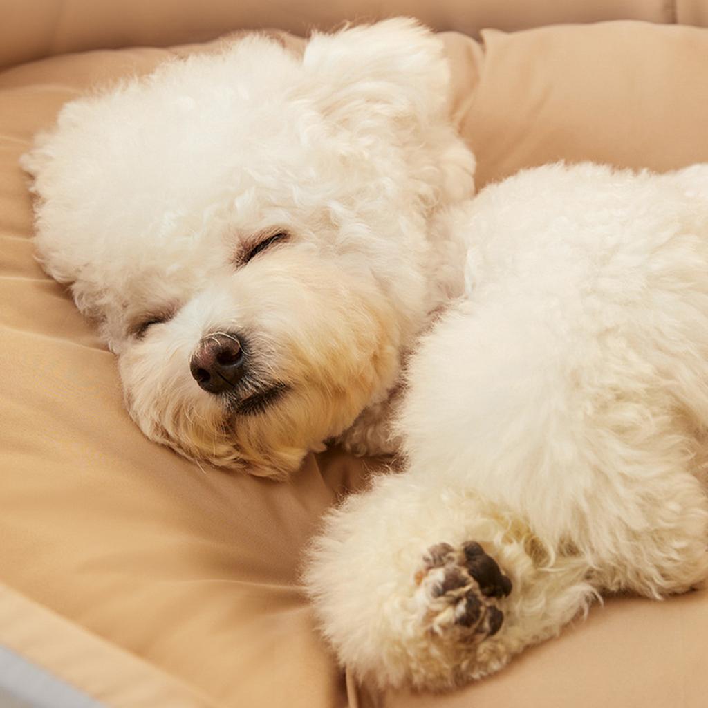 Лежанка для маленьких и средних собак и кошек, моющаяся делюкс, нескользящее дно, высокие и низкие бортики, со съемным универсальным матрасиком, не прилипает шерсть