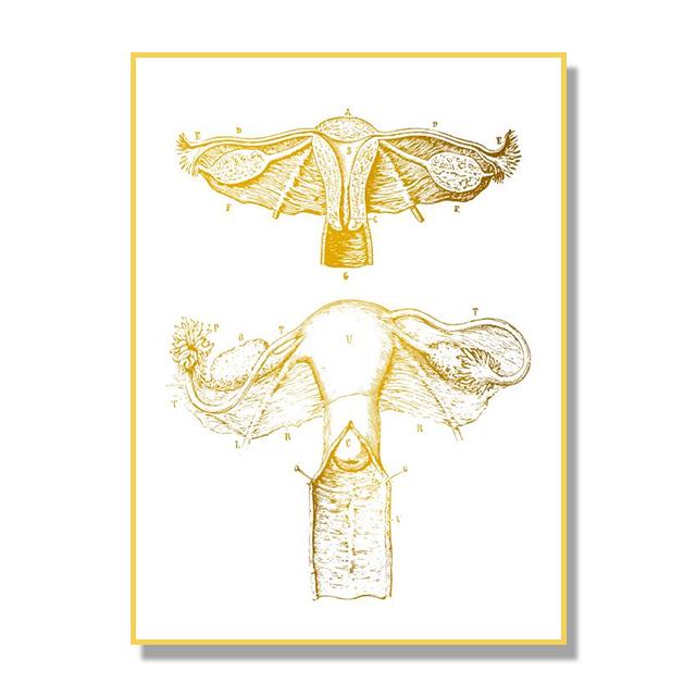 Структура костной ткани органов человека Плакат Золотой скандинавский ретро стиль Картина на холсте Гостиная Настенные художественные принты Современный домашний декор Без рамки