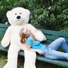 Large Hug Bear Doll Plush Toy Big Bear Teddy Bear Doll Girl Ragdoll Girlfriend Valentine's Day Gift