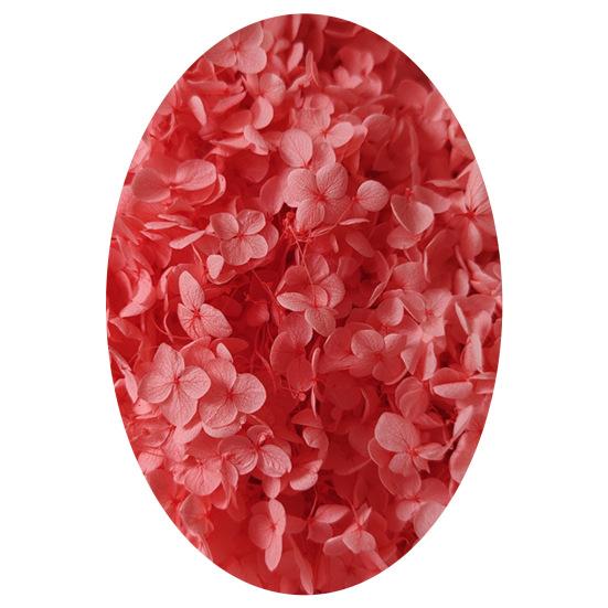 1 коробка, головки сушеных цветов, цветные, изысканные, 21 стиль, отличные привлекательные цветы гортензии, домашний декор