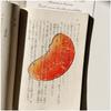 Delicate Reading Mark Transparent Simulation Bookmark new Apple Bookmark  Student Gift