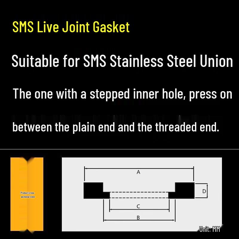 SMS PTFE Union Flat Gasket