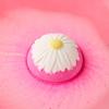 [LIMITED] Blooming Beautiful-Orange Blossom 185g - Bath Bomb/Bath Bomb