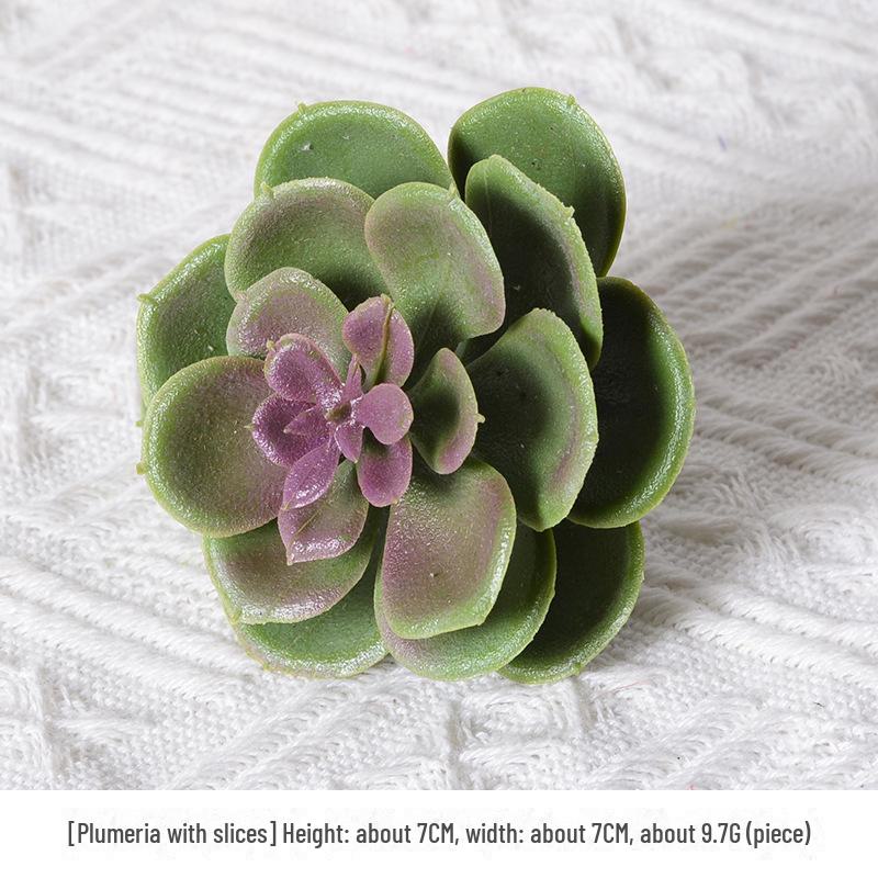 Mini Flocking Artificial Succulent Bonsai for DIY Wall Decor
