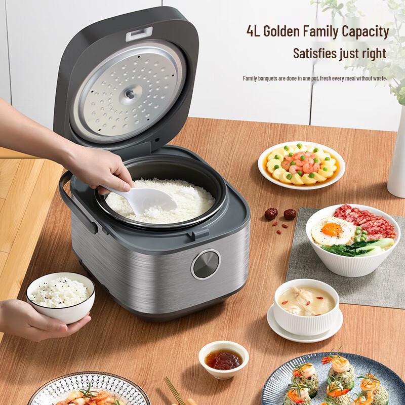 Longde Smart Rice Cooker CN plug (adapter included)