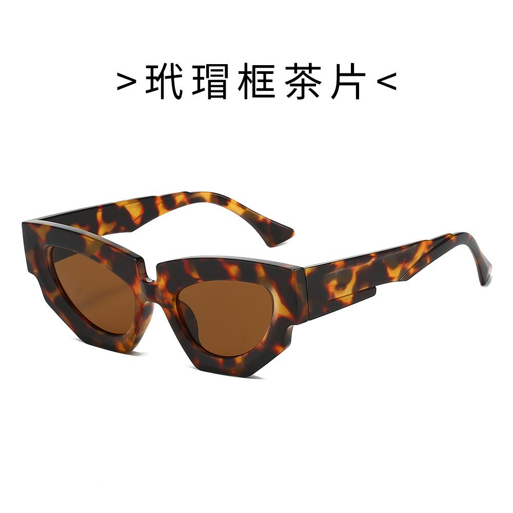Trendy Cat Eye Sunglasses For Women And Men Irregular Shape Unique Fashion Eyewear Perfect For Driving And Runway Looks Stylish