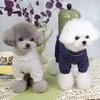 Stretch Striped Pet Than Bear Teddy Dog Clothes Spring and Summer Thin Four-legged Loungewear