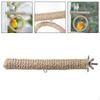 Bird Perch Toy Cage Decor for Parrot Cockatoo Budgie Small Birds Cockatiels