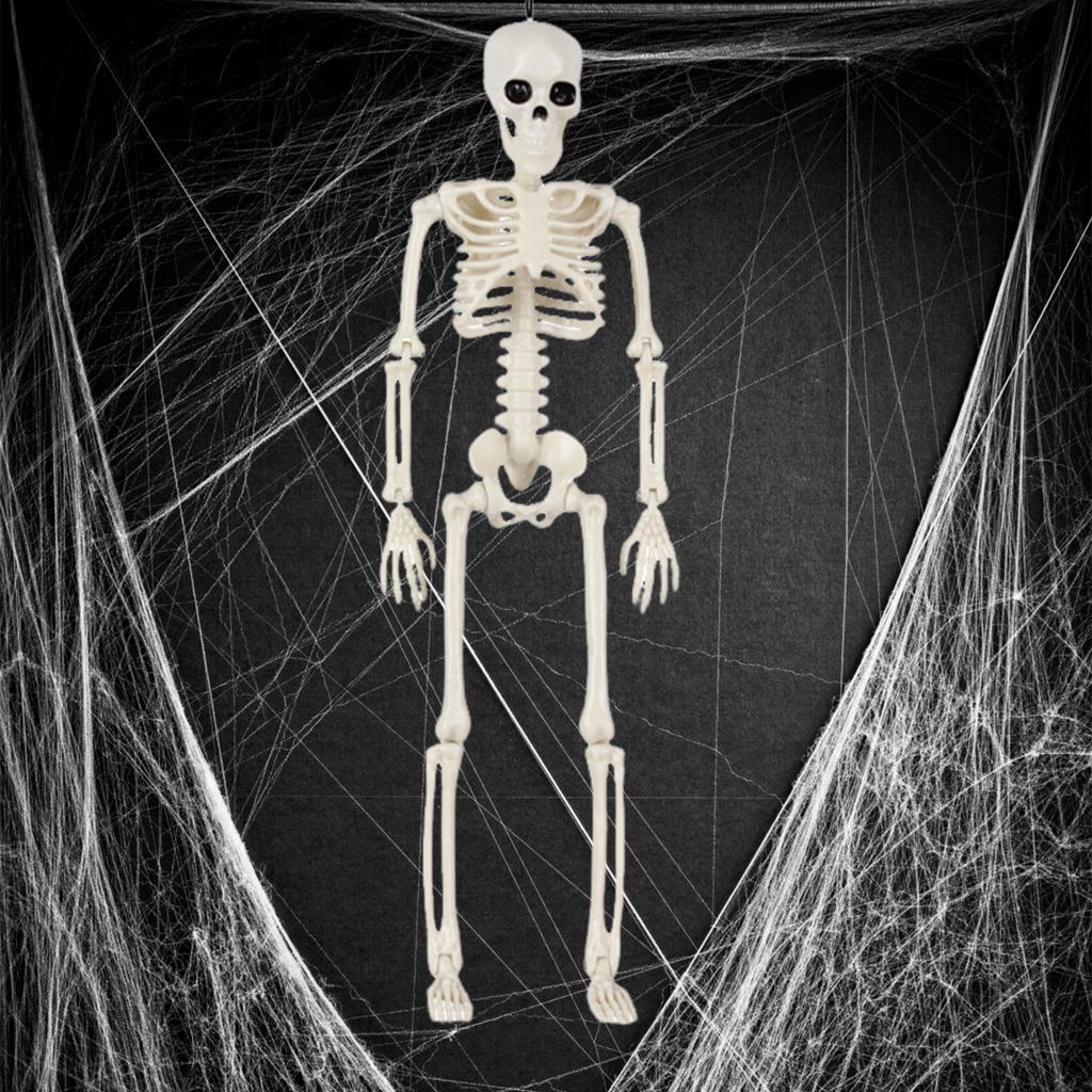 Skeleton Halloween Decorations Life Body Anatomy Model Lifelike Skeleton Model for Haunted Houses Cemeteries