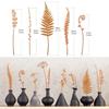 5pcs Rusty Fern Potted Plant Decoration Garden Stakes Metal Outdoor Courtyard Yard Art Decoration Country Garden Iron Sculpture