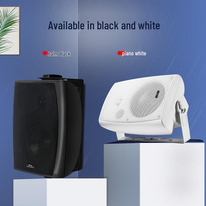 Diyou Wall-Mounted Conference & Broadcast Speaker System CN plug (adapter included)