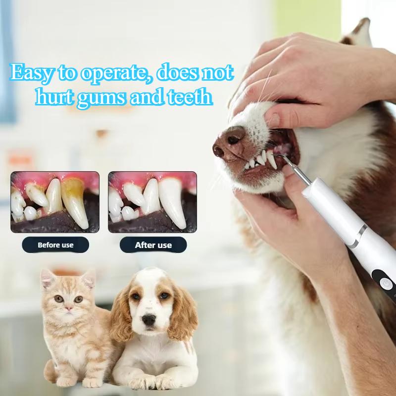 Stainless Steel Ultrasonic Dog Dental Cleaner with USB Charging LED Light Cat Dog Teeth Cleaning 3- Adjustable Double Cleaning Shampoo Pet Supplies