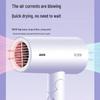 FLYCO 1800W Portable Foldable Hair Dryer CN plug (adapter included)