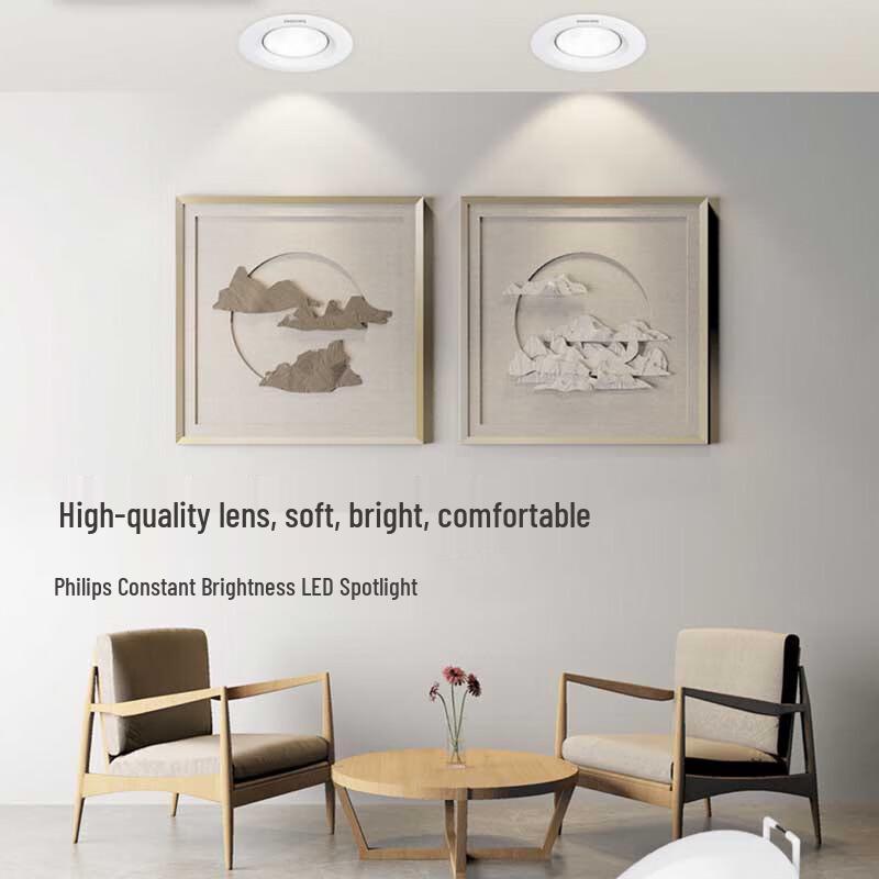 Philips LED Constant Brightness Spotlight