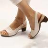 Fashion Women Sandals 2024 Women Heels Sandals Summer Shoes For Women Peep Toe Platform Sandalias Mujer Elegant Medium Heel Shoes Female