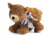 Little Baby Urs Bear Steiff's (Brown, 28cm)