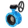 Ductile Iron Butterfly Valve D341X-10