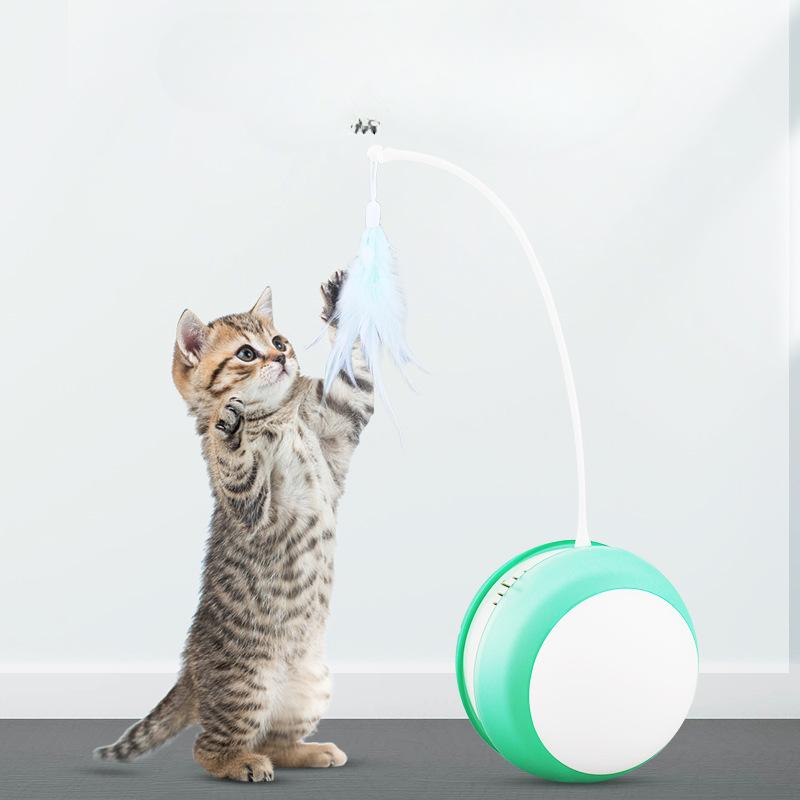 Игрушки для кошек Электрический кошачий мяч Умный автоматический стакан Кошачья палка Звуковой кошачий мяч Удочка для ловли рыбы перо Катящийся мяч