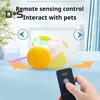 Interactive Cat Toys for Indoor Cats Electric Automatic Mouse Toy with Light-up Tail Cat Chasing Toy with Remote Control
