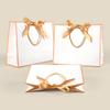 WTEMPO Ribbon Bow Paper Bags with Handles DIY Universal Packaging Bags Simple Elegant Shopping Bags Perfect for Birthday Wedding and Other Festivals