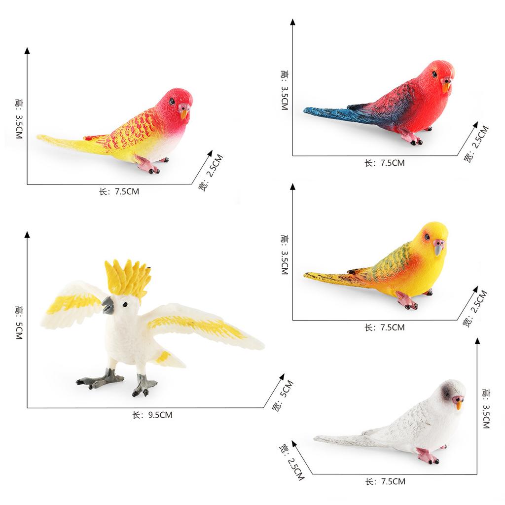 Simulation Bird Bird Parrot Model Cognition Parrot Cockatoo Desktop Static Decorative Ornament Toy