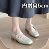 Inner Height Increase 5cm Leather Thick Heel Mary Jane Shoes Women's 2025 New Velcro Retro Square Head Shallow Mouth Single Shoes