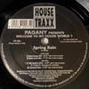 12-дюймовая пластинка PAGANY - Весенний дождь HT006 House Traxx 1996 Италия Танцевальная и электронная Б/У