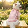 Stripe Design Dog Lace Knit Vest Ruffle Sleeves Dog T-Shirt Cute Pet Hoodie  Daily Wear