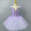 Children Ballet Dress Performance Swan Lake Tutu Professional Girls Dance Dress Costumes Party Dress