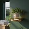 Invisible Bracket Floating Wall Shelf Wall Mounted Wall Mount Shelf Storage Shelf  Display Storage
