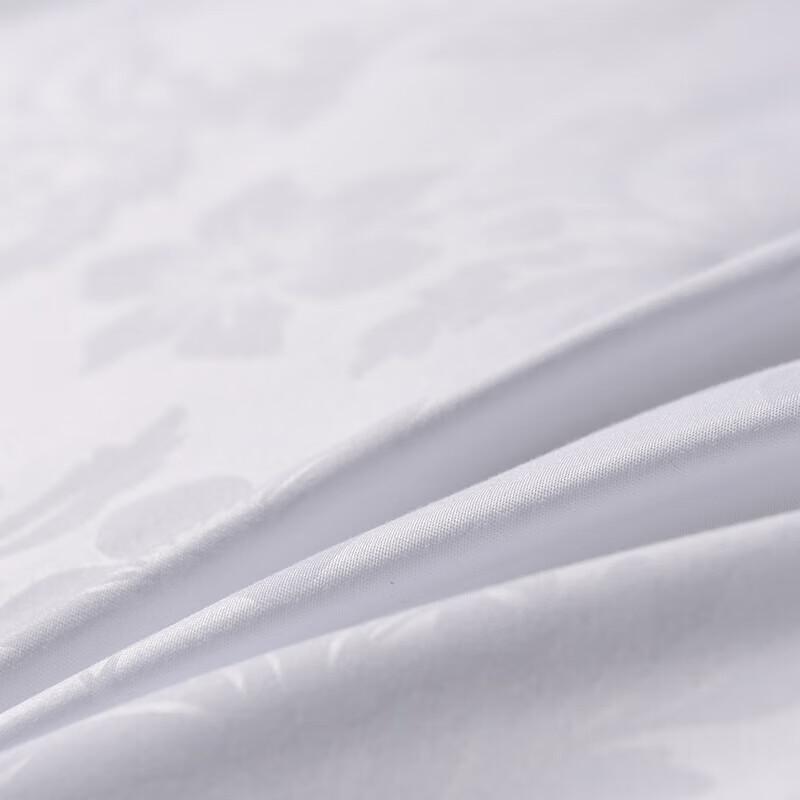 Fuanna Zhenya Warm Core Winter Quilt