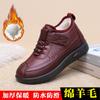 Winter Women's New Cotton Shoes Piled Thickened Warm Middle and Old Snow Boots Non-slip Mother Cotton Boots