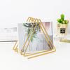 Storage Rack Multi-purpose Tidy Keeping Solid Color Triangle Shape Book Storage Shelf for Desktop