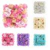 Artificial Rose Flower Wall Panel Wedding Bridal Baby Shower Party DIY Square 3D Floral Wall Backdrop Decoration Photography Adult Sex Wear