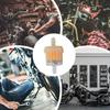 Прозрачный масляный фильтр для мотоцикла Масляный фильтр для мотоциклов Встроенный Аксессуары для мотоциклов Универсальные фильтрующие элементы Для точной