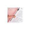 Plus Flat File, Resin Binding, A3 Horizontal, Pink, 10 Books, NO002N 78-178×10
