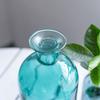 Living Room Glass Bottle Flower Decoration Flower Vase Glass Vase Table Decor Home Decoration