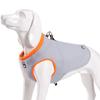 Winhyepet Охлаждающая жилетка для собак Одежда Быстроохлаждающая куртка Для маленьких и больших собак Аксессуары Пальто для улицы Светоотражающий костюм Модный