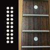 1/4-inch Dot Set (White Pearl) Guitar Inlay Sticker 090-14-WT
