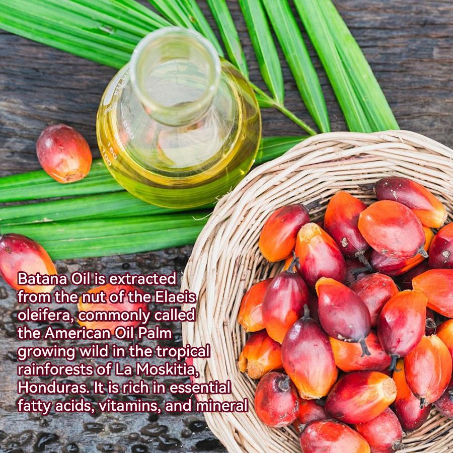 Bathana Hair Oil: A Nourishing Treatment To Smooth and Repair Dry, Frizzy Hair less