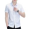 Summer Shirts Men's Korean Striped Short-sleeved Shirts Men's Iron-free Casual Business Shirts