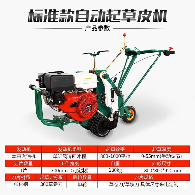 Kodhe Self-Propelled Turf Cutter CN plug (adapter included)