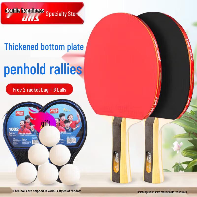 DHS 1-Star Table Tennis Racket