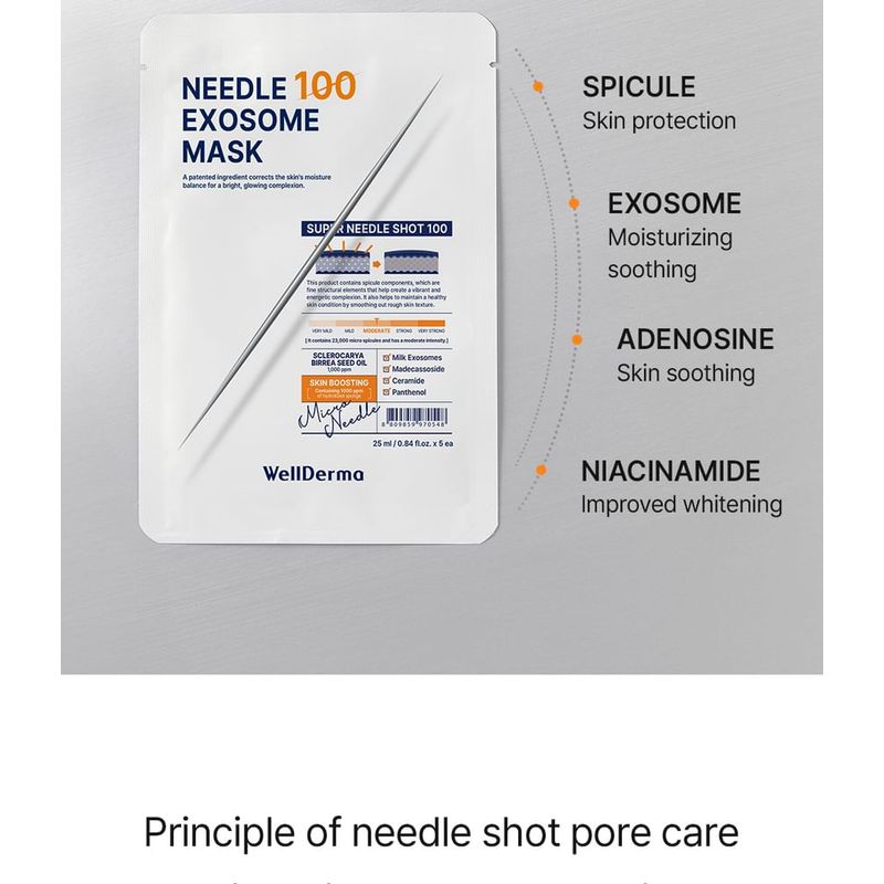 WellDerma - Needle Exosome Mask Pack 100 Set