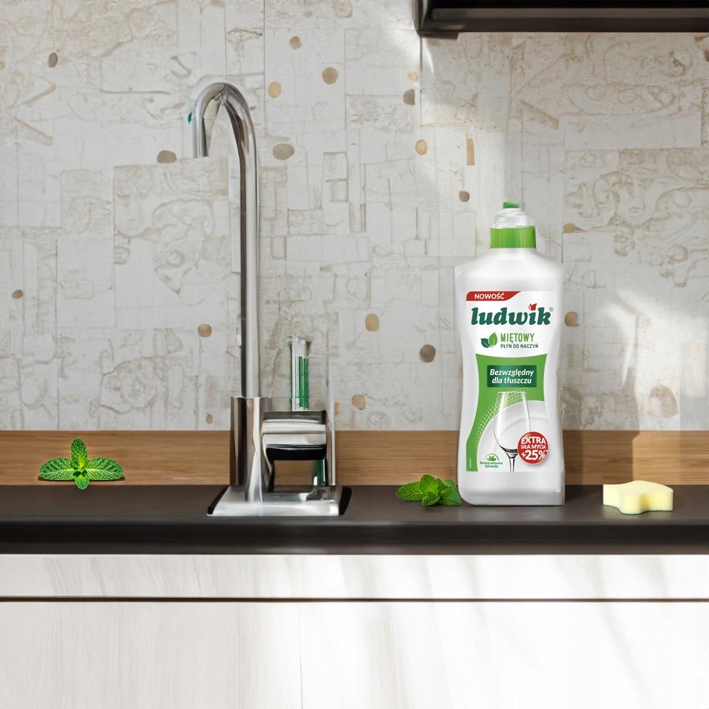 Ludwik Do Mycia Naczyń 500 Ml /450G Mięta
