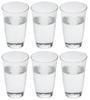 Tumbler Glass, Takasegawa, Tumbler, 14.2 Fl Oz (420 Ml), Set of 6, Made In Japan, Good Design Award, Glass Cup, Beer Glass, Highball