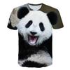 Kawaii Animal Panda 3D Print T Shirt Fashion Streetwear Man Woman O-Neck T-shirts Harajuku Short Sleeve Tees Kids Tops Clothing