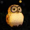 Resin Owl Outdoor Light Owl Solar Garden Lamp Solar Owl Garden Statue for Outdoor Decor Resin Night Lights for Yard Room