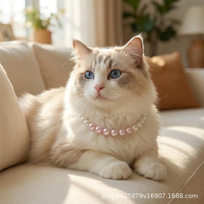 Stylish and unique pet necklace and collar, featuring a cute princess-style pendant, perfect for cats, teddy bears, and bichon frises