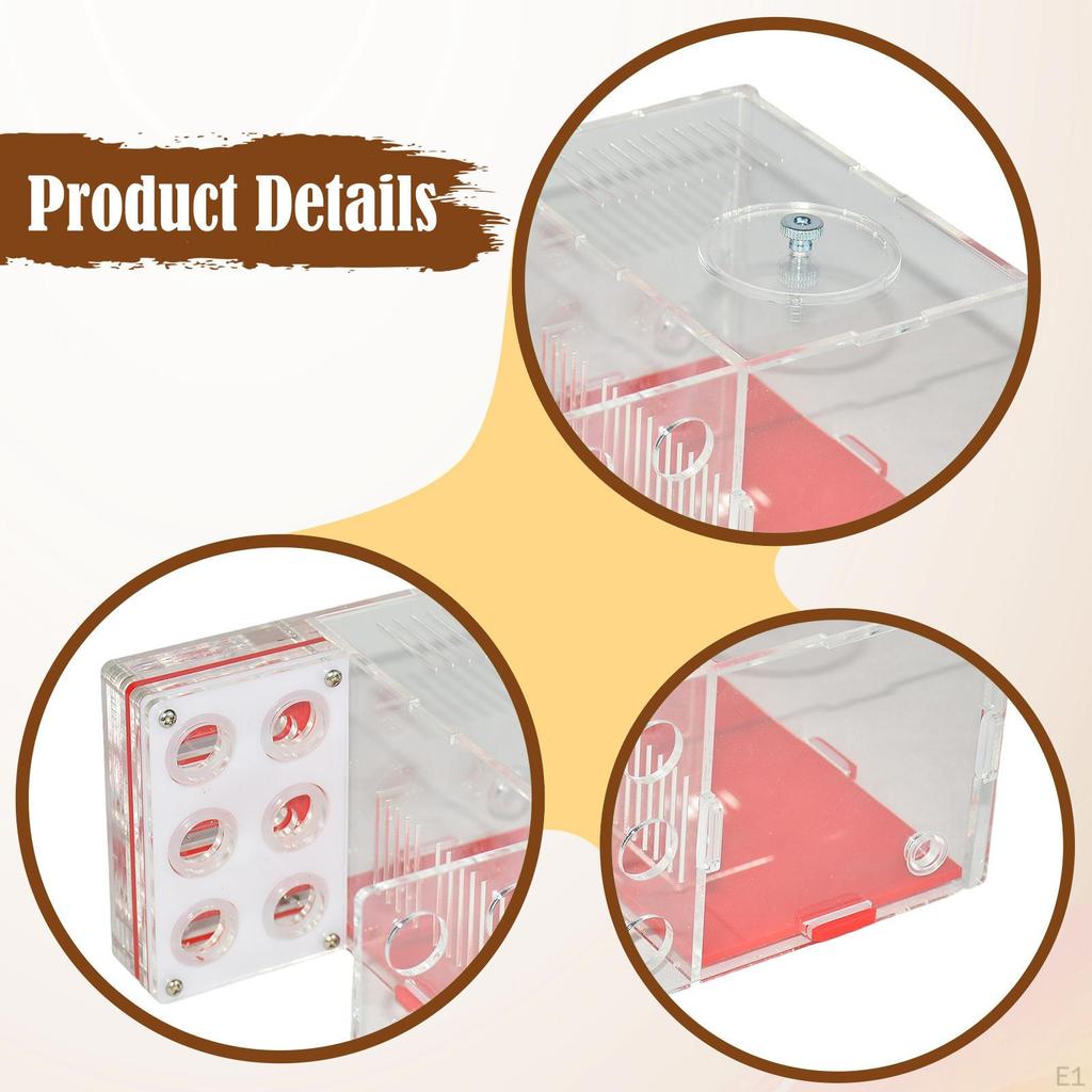 Акриловая ферма-вилла для муравьев для спальни, научного наблюдения, Дня защиты детей